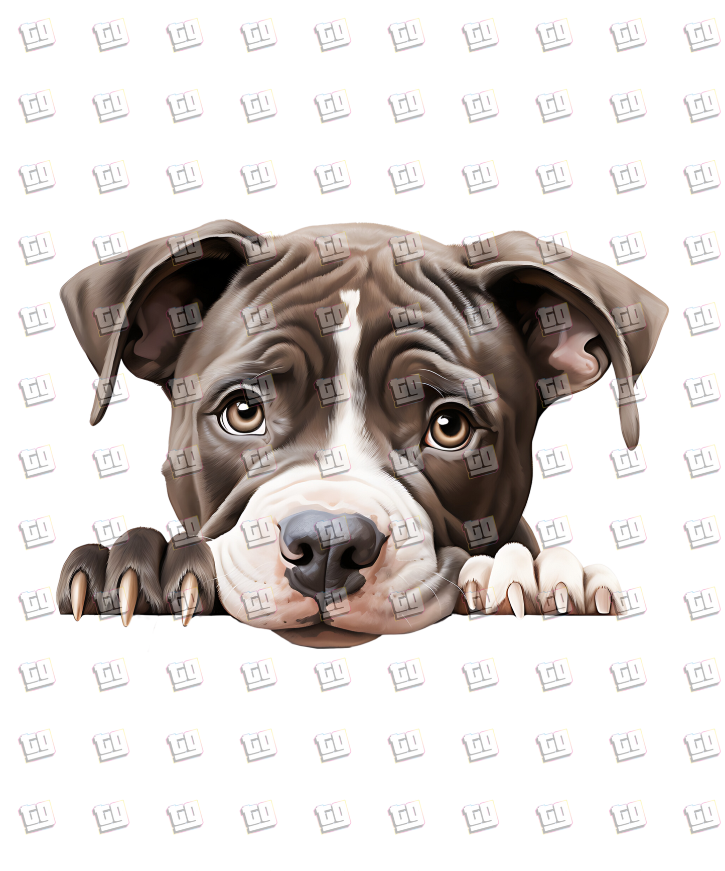 American Pit Bull Dog Peeking - Dog - DTF Transfer