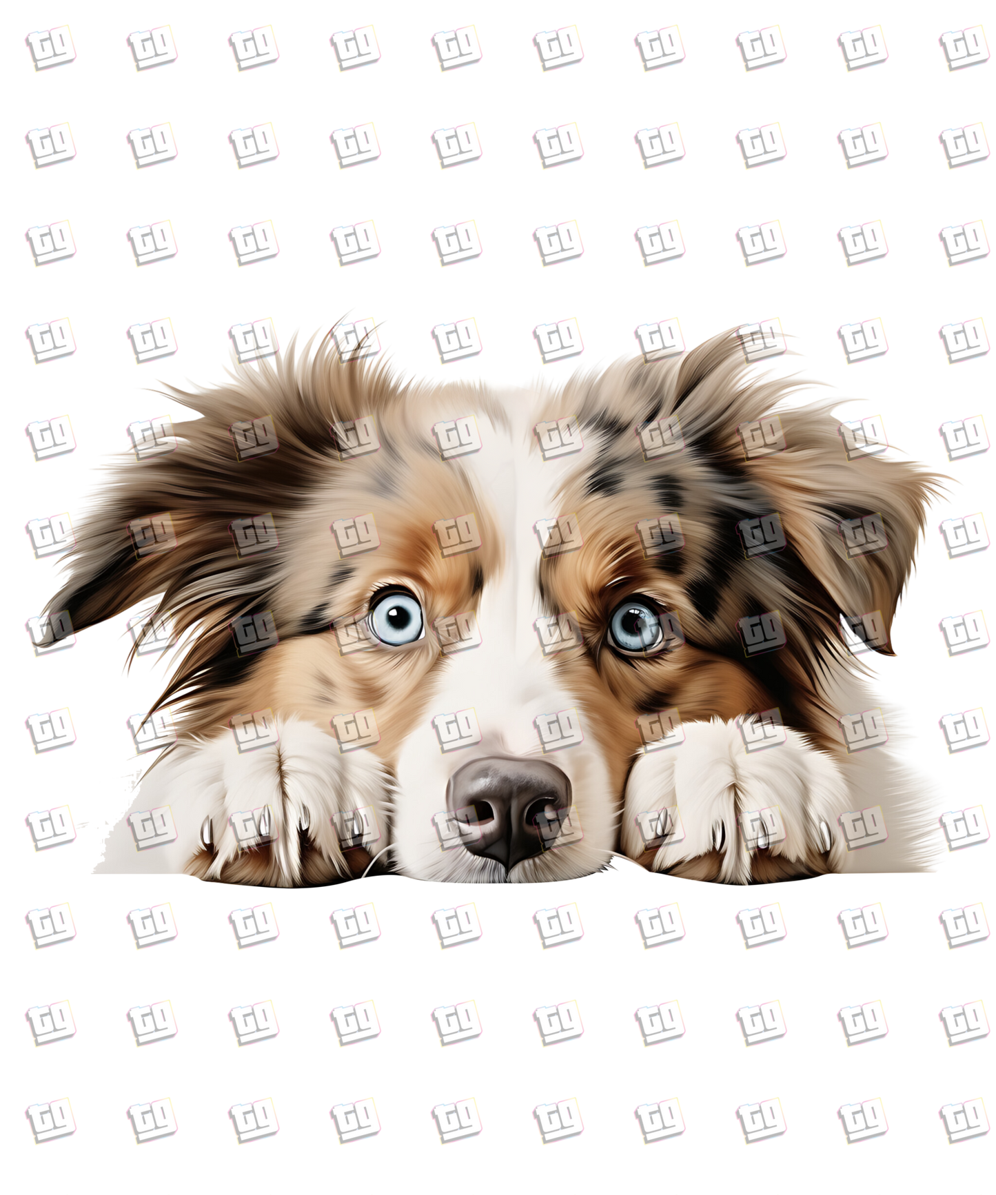 Australian Shepard Dog Peeking - Dog - DTF Transfer